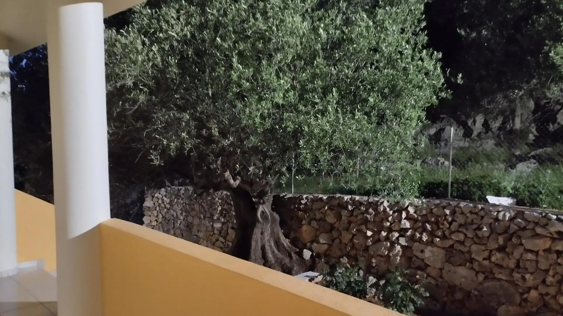 Aparthotel Asteras Studios Argostoli